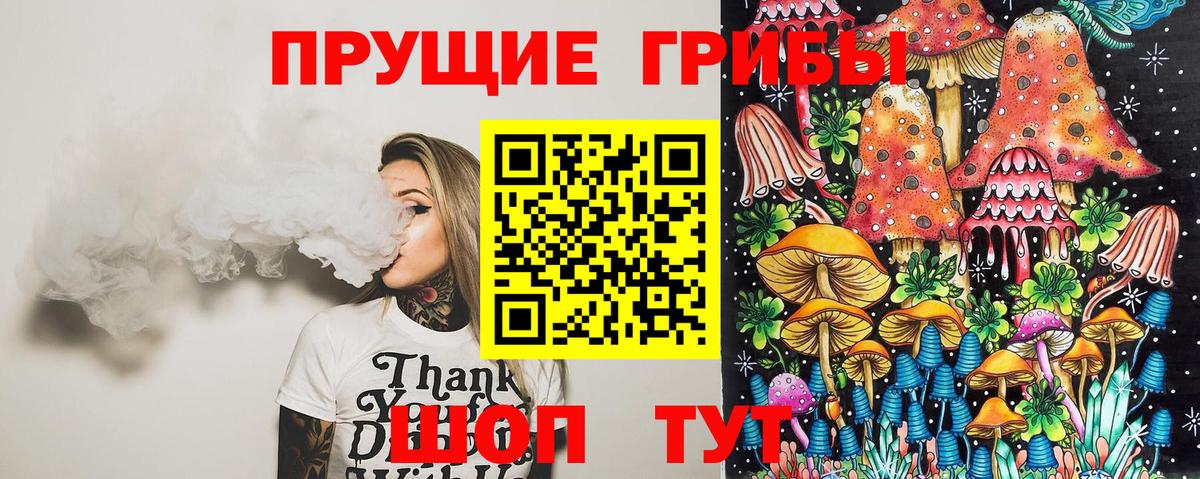 Галлюциногенные грибы Cubensis  Вход с VPN  Гусь-Хрустальный 